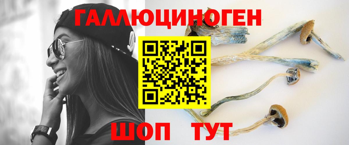 где можно купить наркотик  Вход с VPN  Борзя  Галлюциногенные грибы Psilocybine cubensis 