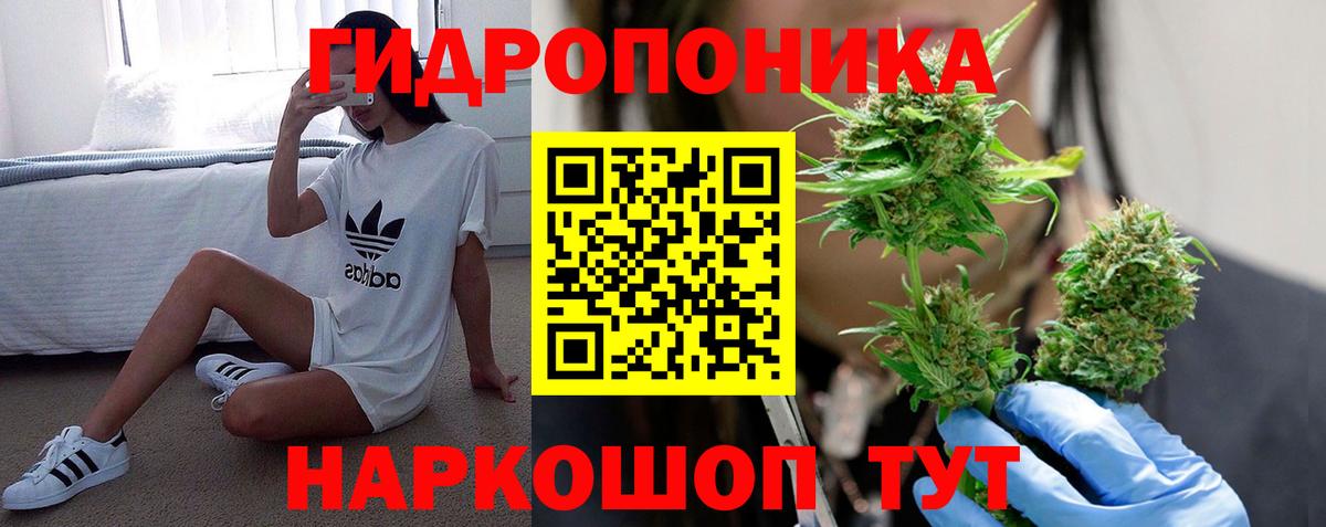 Каннабис AK-47 Борзя